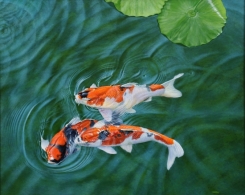 第48回コルシカ美術賞展 2016
大賞:青山 繁